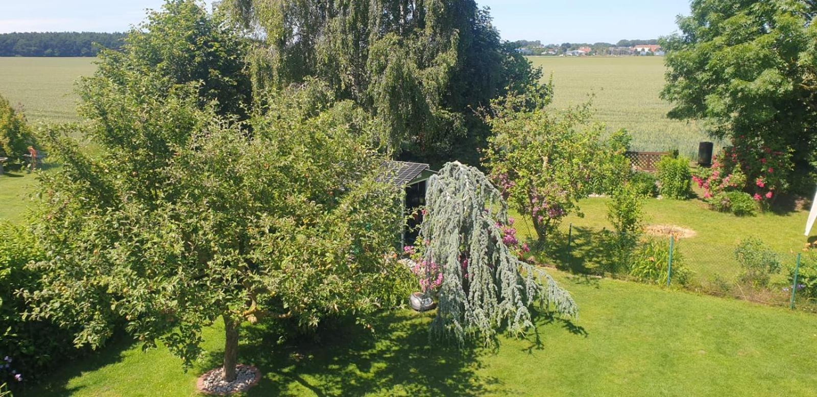Ostseeferien In Lichtenhagen-Dorf Ferienwohnung エルメンホルスト エクステリア 写真