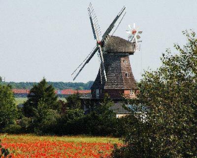 Ostseeferien In Lichtenhagen-Dorf Ferienwohnung エルメンホルスト エクステリア 写真